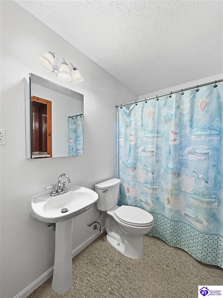4113 Burrell Drive Property Photo 22