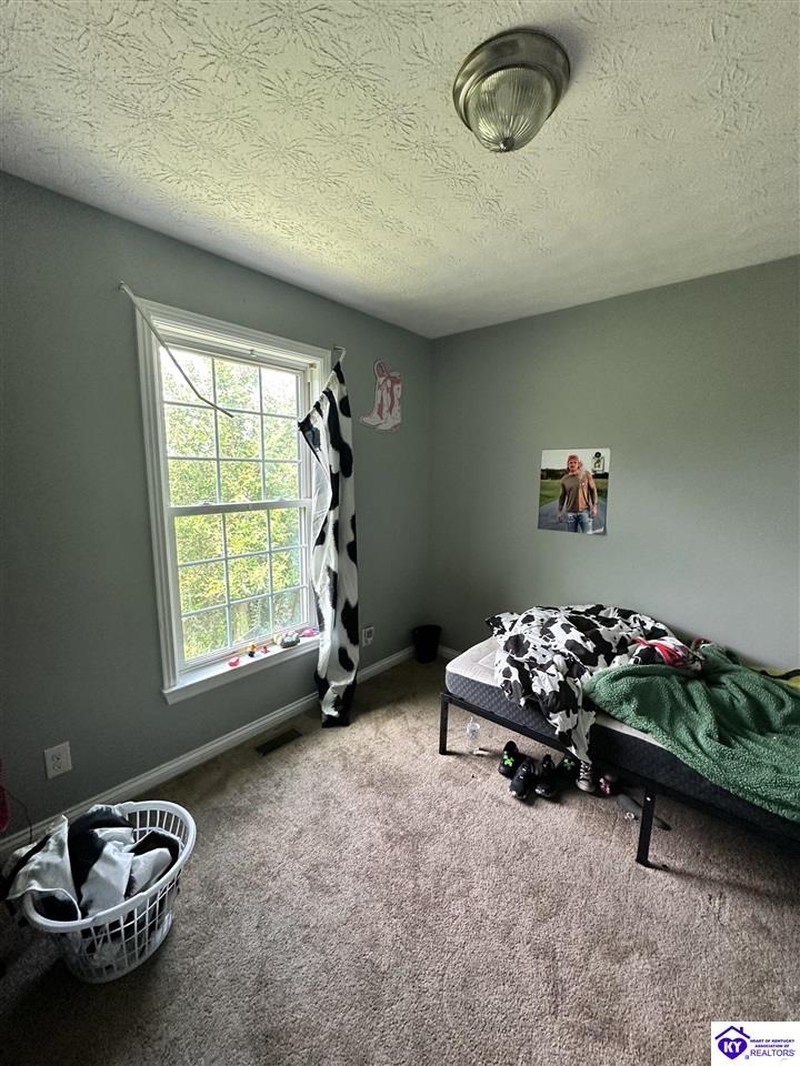 111 Wood Lane Property Photo 59