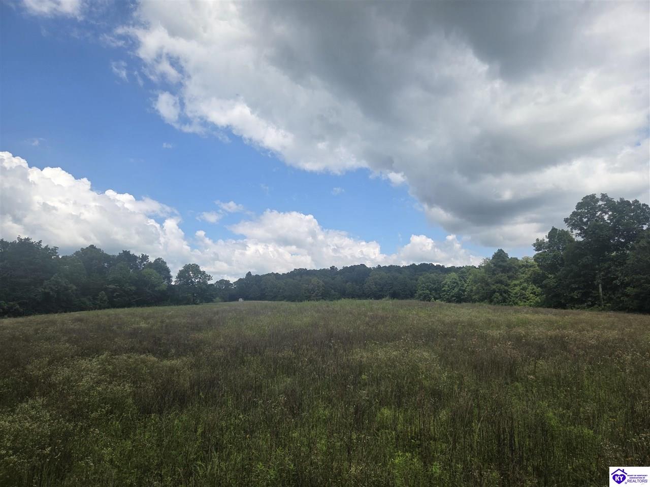 Parcel 4 Lyons-daugherty Road Property Photo 2