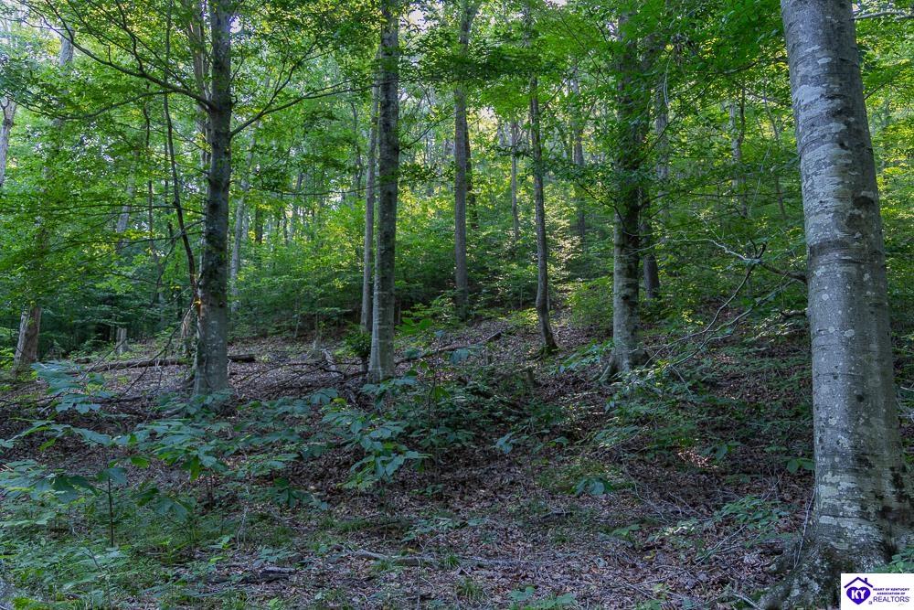 Lot 3 & 4 Perkins Lane Property Photo 12