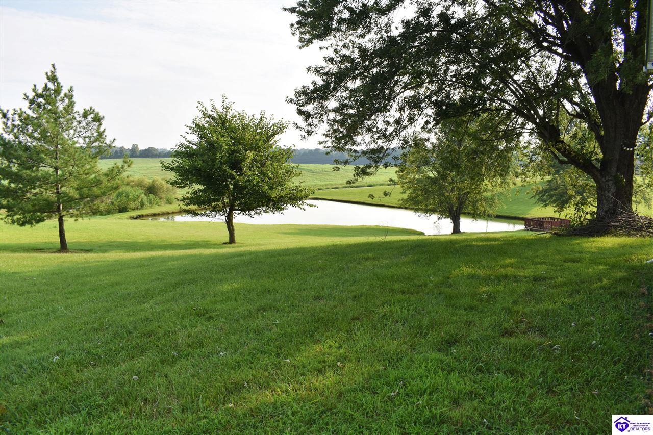 3586 Yeaman Road Property Photo 18