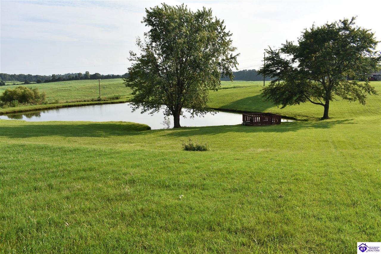 3586 Yeaman Road Property Photo 55