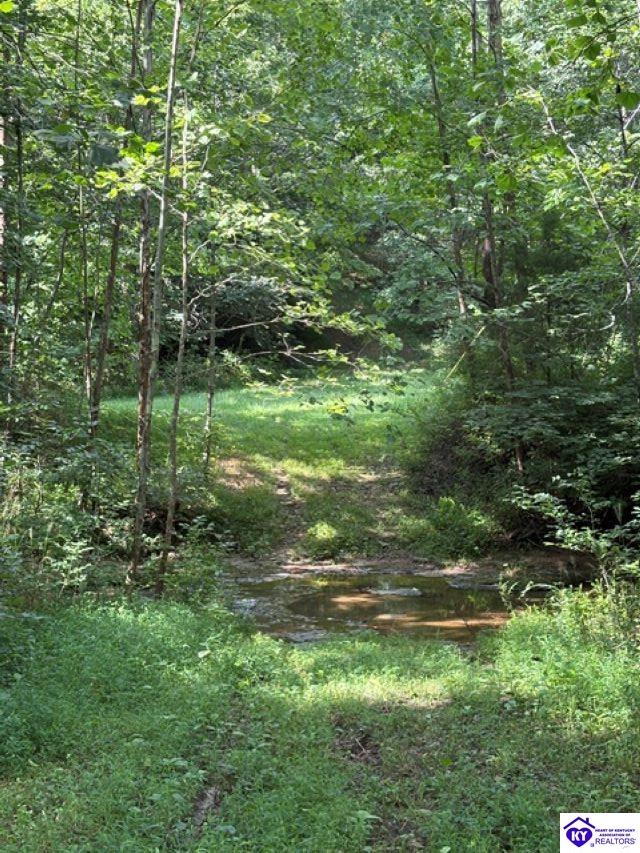 Tract 1b Dangerfield Road Property Photo 4