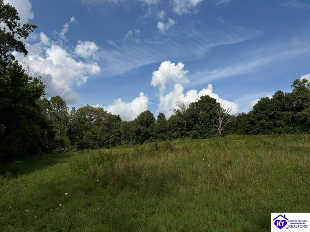 Tract 1b Dangerfield Road Property Photo 5