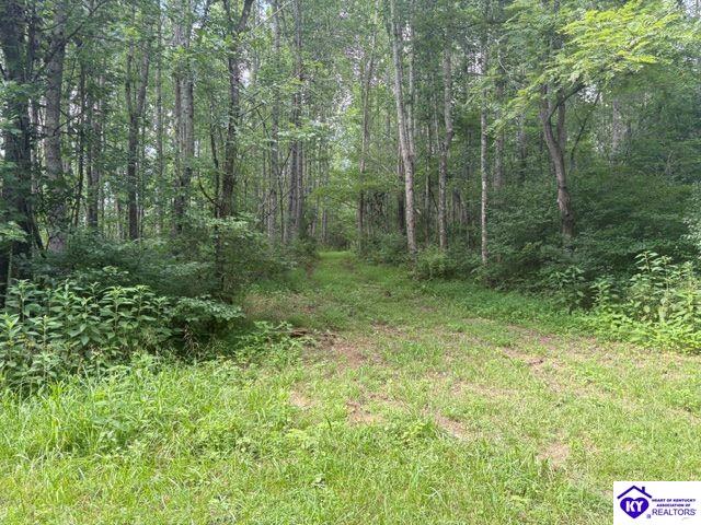 Tract 1b Dangerfield Road Property Photo 8