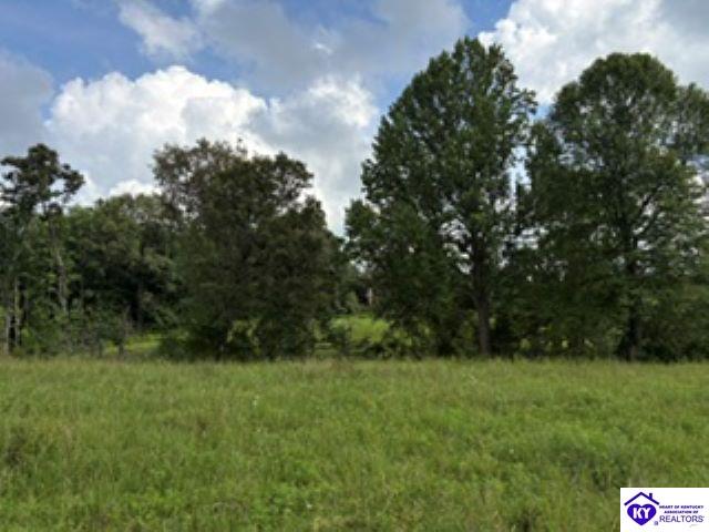 Tract 1b Dangerfield Road Property Photo 10