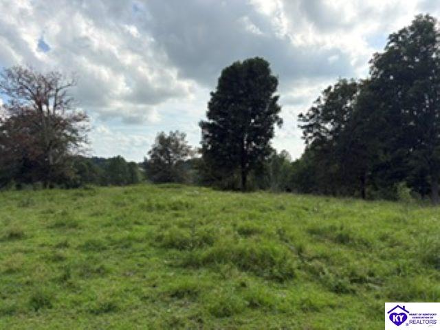 Tract 1b Dangerfield Road Property Photo 11