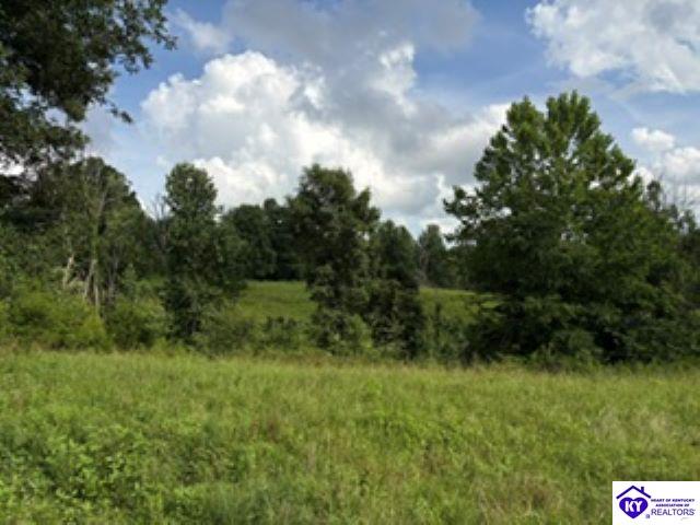 Tract 1b Dangerfield Road Property Photo 12