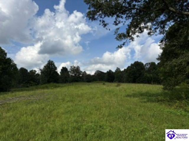 Tract 1b Dangerfield Road Property Photo 13