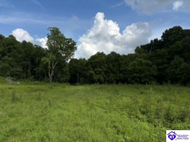 Tract 1b Dangerfield Road Property Photo 14