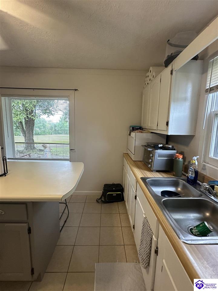 927 E Lemon Bend Road Property Photo 49