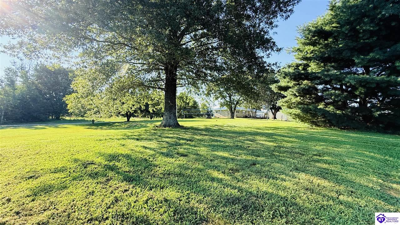 6687 Edmonton Road Property Photo 10
