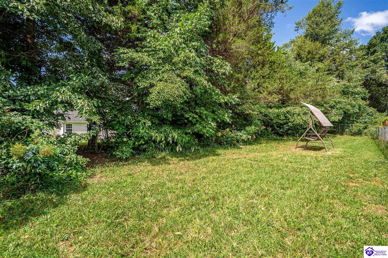 154 Wiltshire Avenue Property Photo 37