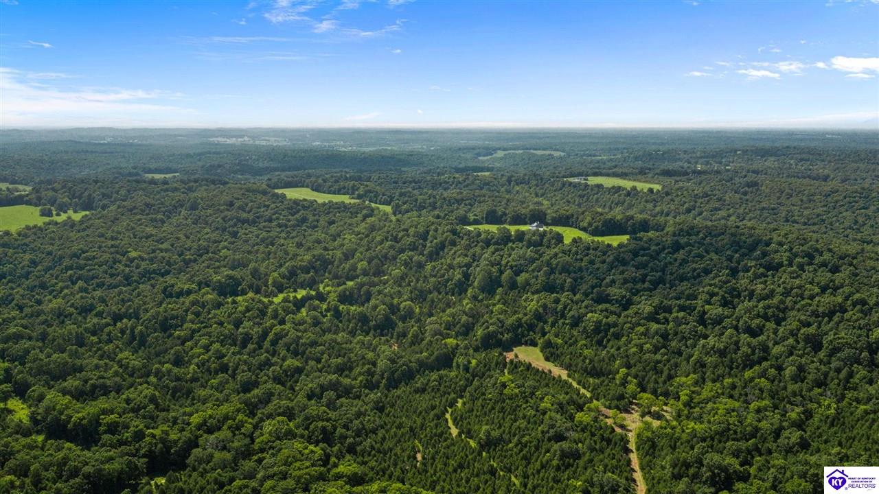 1225 N Grandview Church Road Tract 2 Property Photo 6