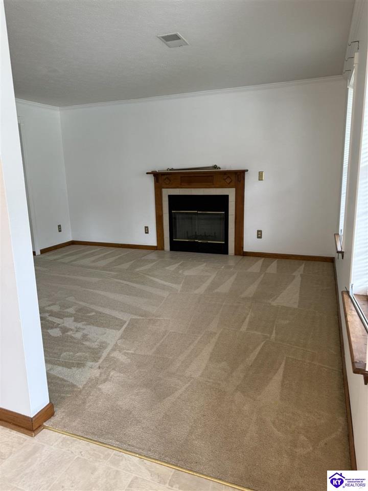 1312 Amanda Jo Drive Property Photo 4