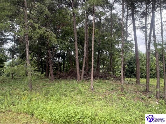 0 Paulette Way Property Photo 2