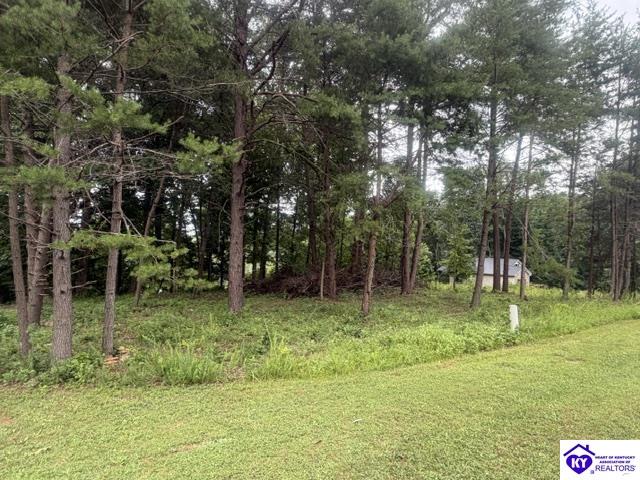 0 Paulette Way Property Photo 4