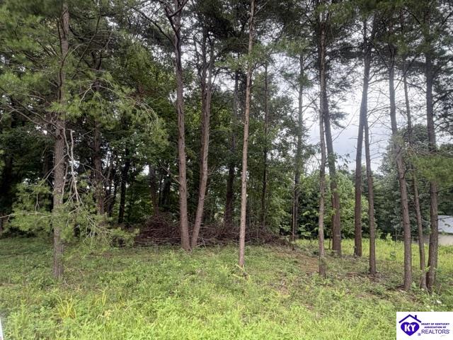 0 Paulette Way Property Photo 5