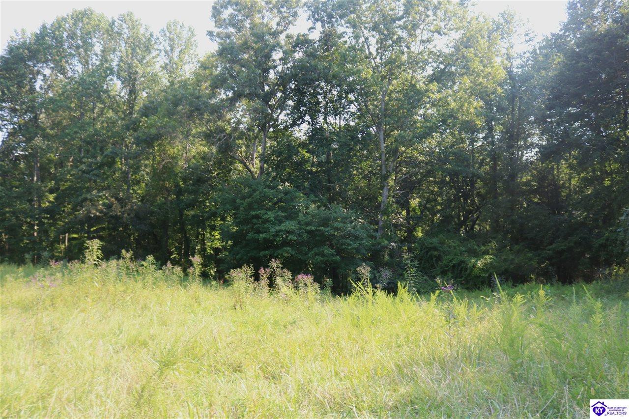 00 Levi Beam Road Property Photo 5