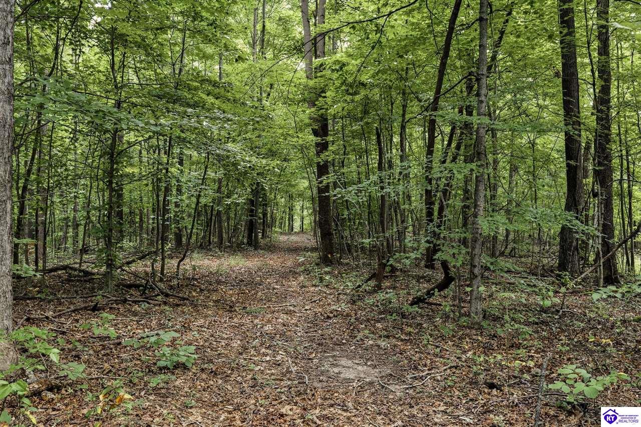 3604 Battle Training Road Property Photo 28