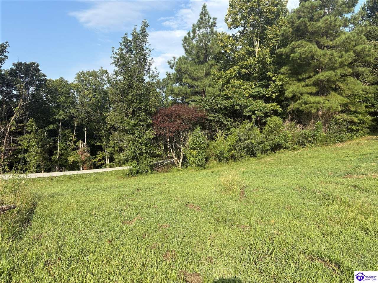 3440 Watershed Road Property Photo 5