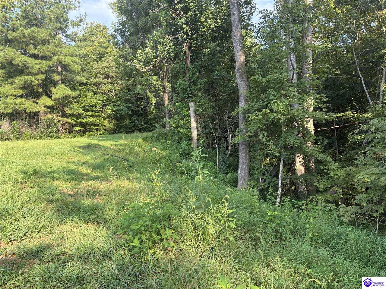 3440 Watershed Road Property Photo 8