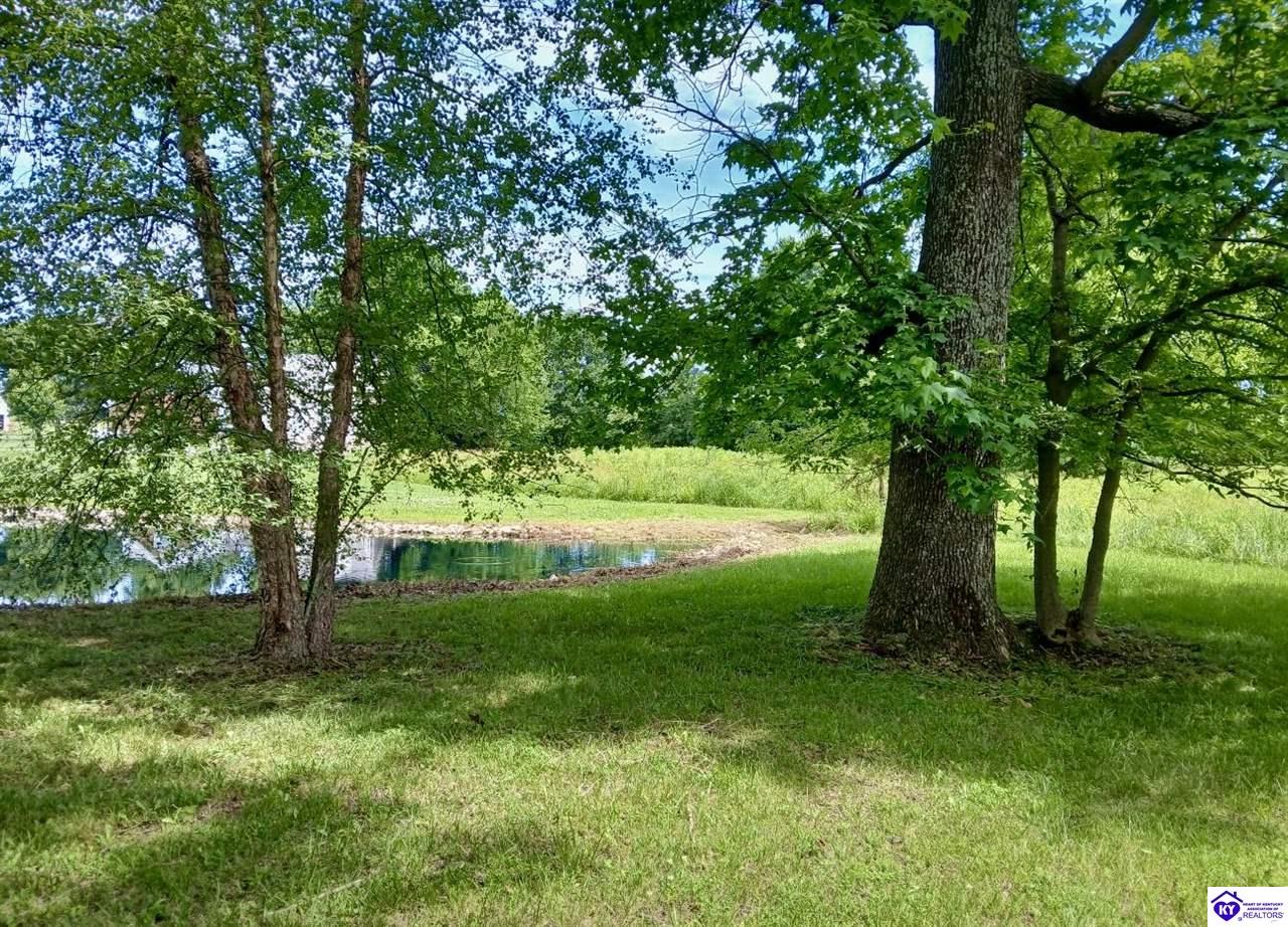 1058 Crisp Road Property Photo 78