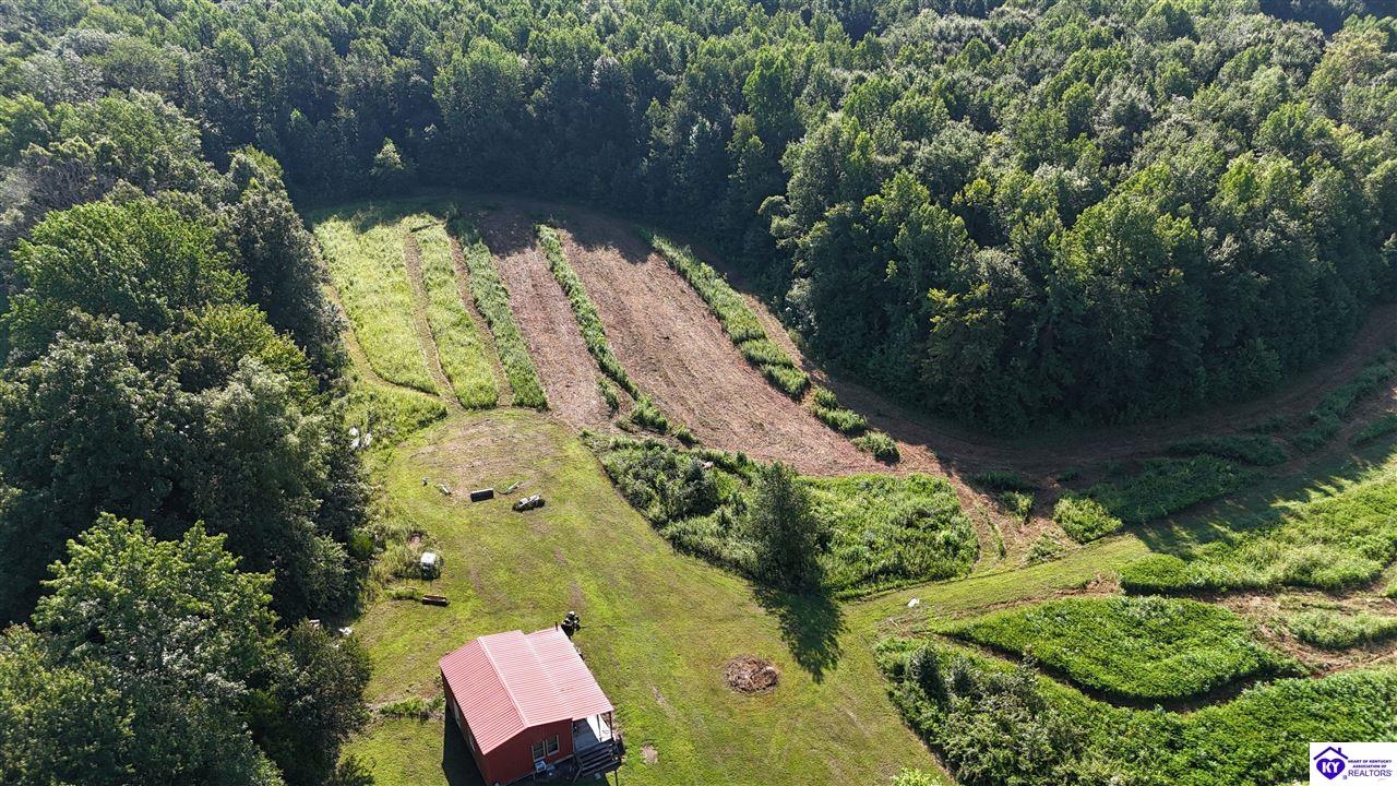 76 Ac Iron Mountain Road Property Photo 2