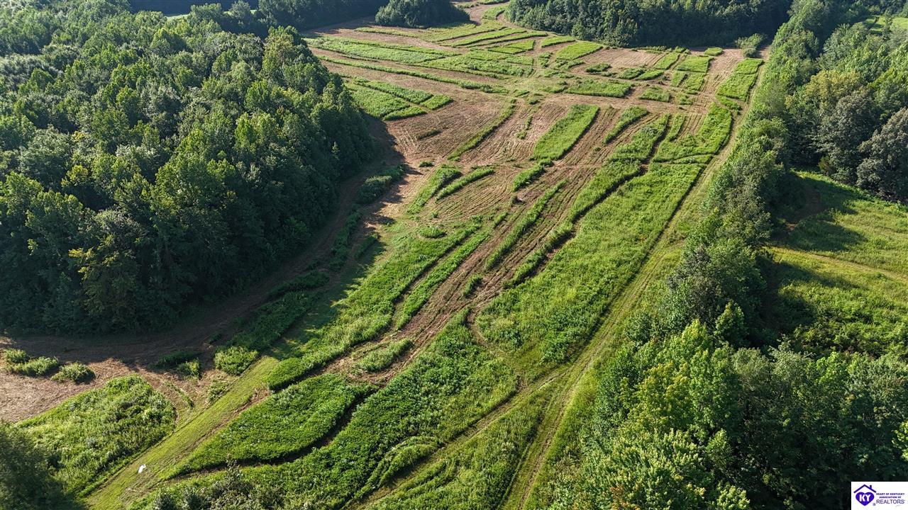 76 Ac Iron Mountain Road Property Photo 3