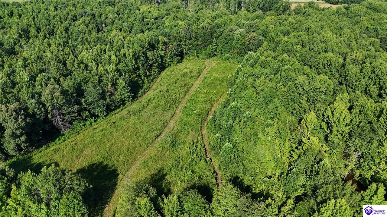76 Ac Iron Mountain Road Property Photo 5