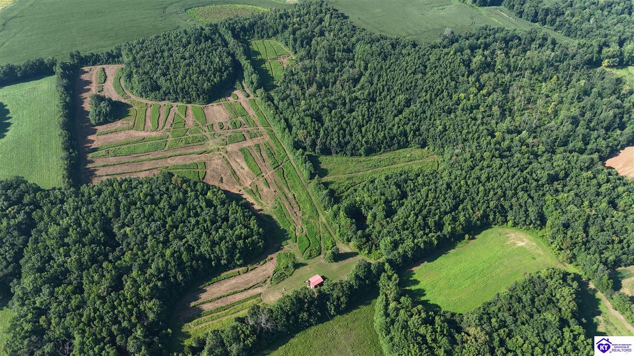 76 Ac Iron Mountain Road Property Photo 6