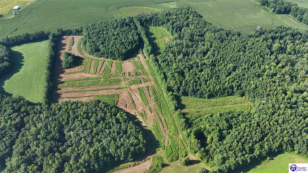 76 Ac Iron Mountain Road Property Photo 8