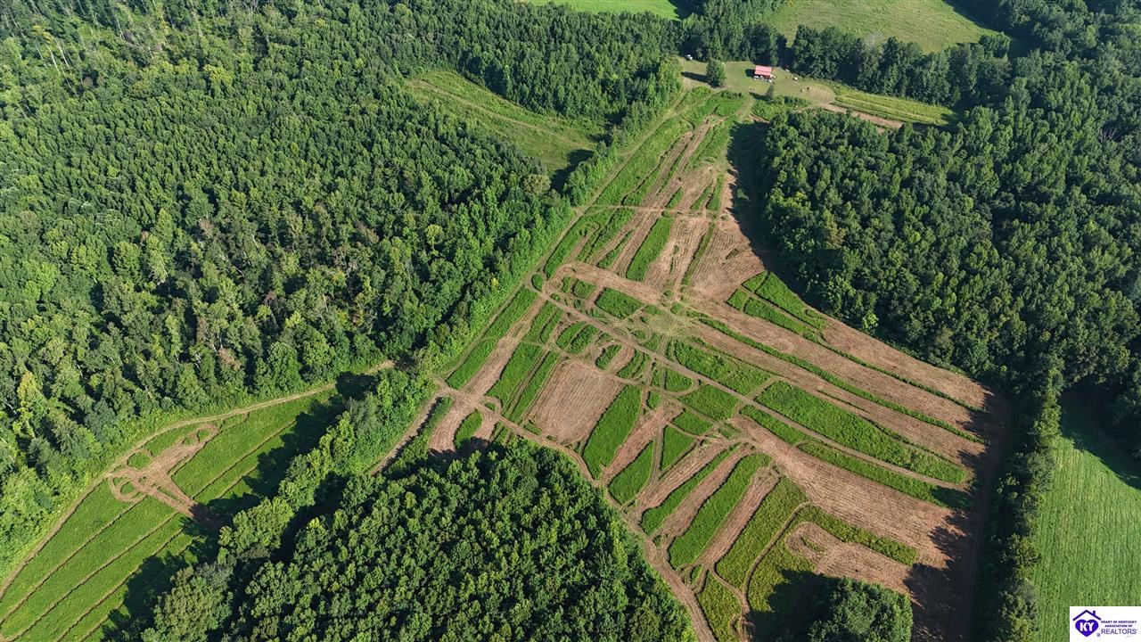 76 Ac Iron Mountain Road Property Photo 10