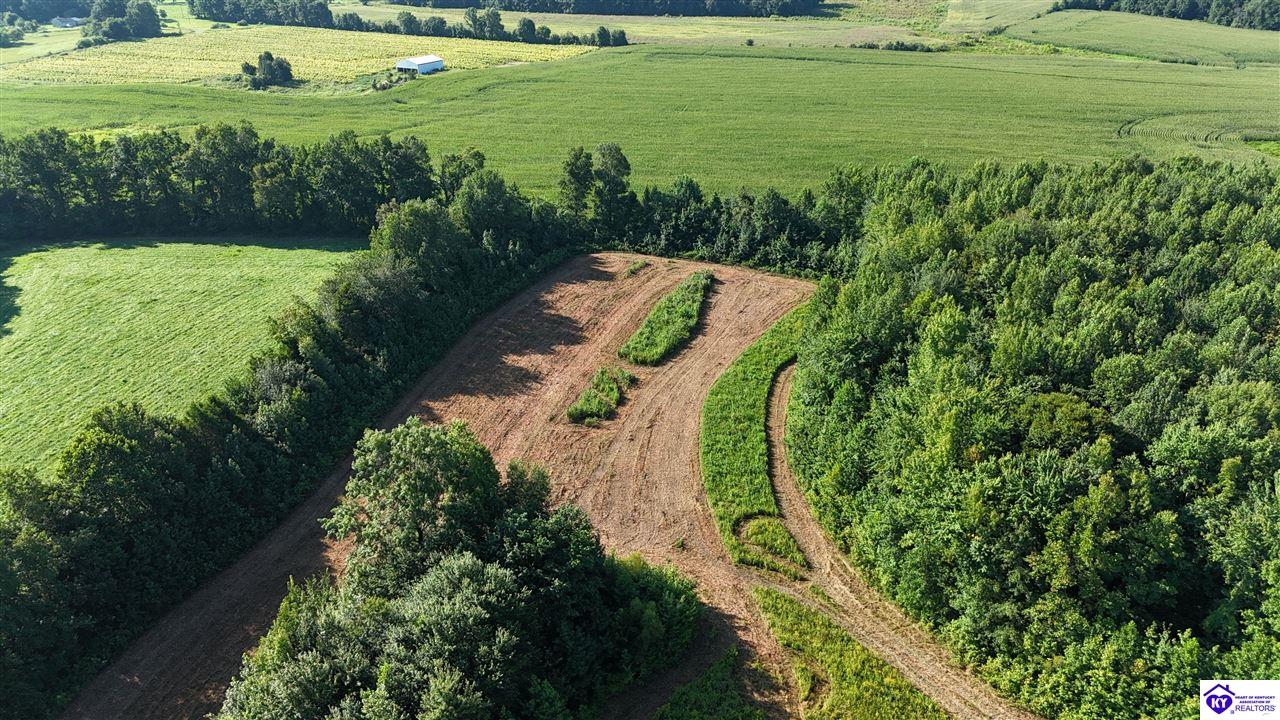 76 Ac Iron Mountain Road Property Photo 12