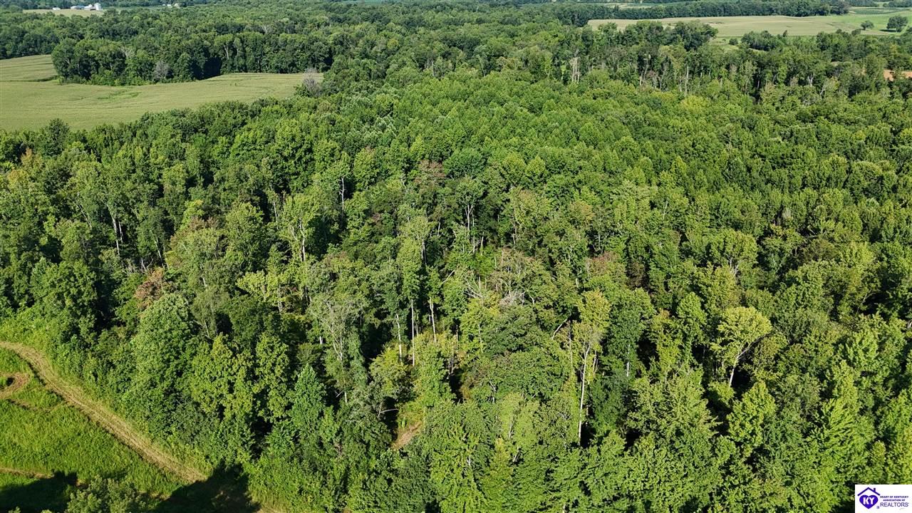 76 Ac Iron Mountain Road Property Photo 13