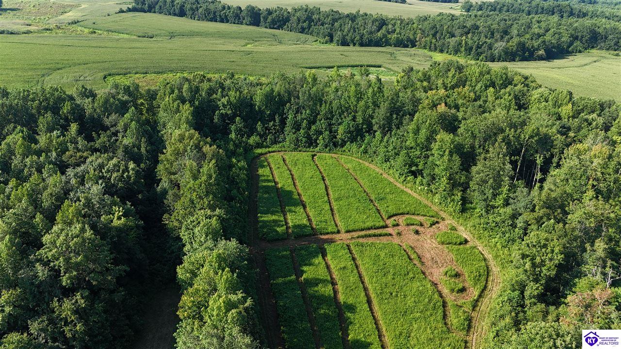 76 Ac Iron Mountain Road Property Photo 14