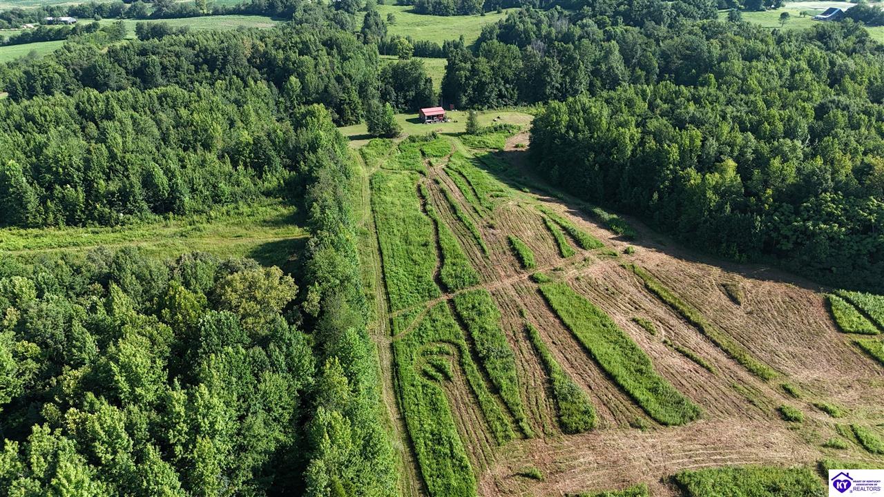 76 Ac Iron Mountain Road Property Photo 15