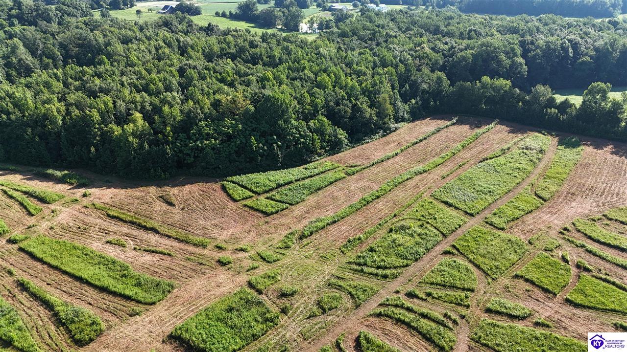 76 Ac Iron Mountain Road Property Photo 16