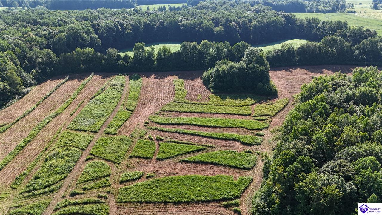 76 Ac Iron Mountain Road Property Photo 17