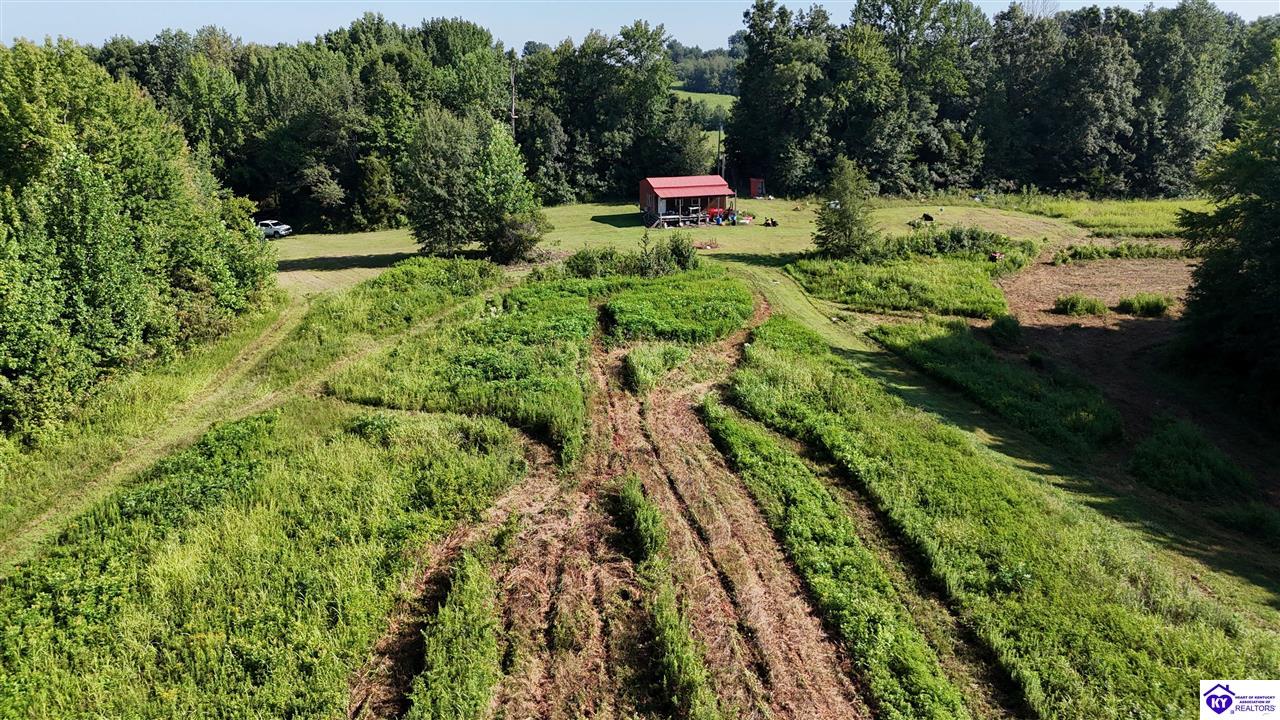 76 Ac Iron Mountain Road Property Photo 18