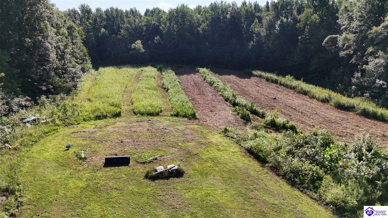 76 Ac Iron Mountain Road Property Photo 21