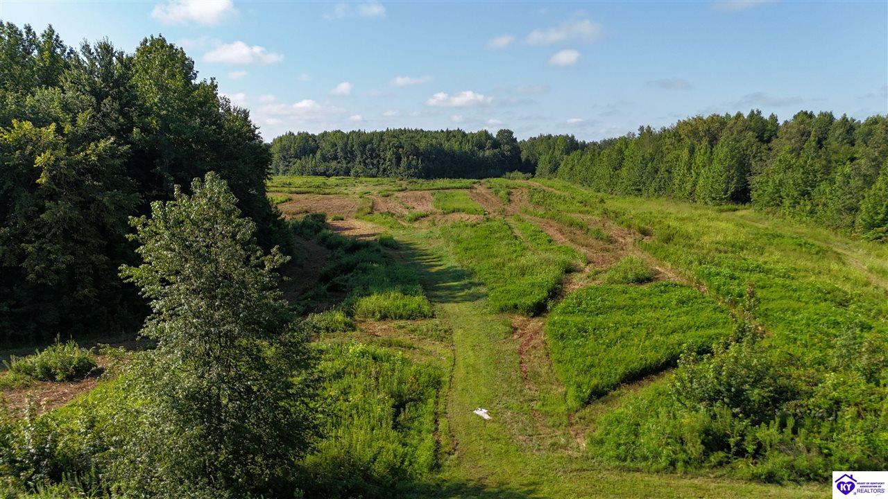 76 Ac Iron Mountain Road Property Photo 22