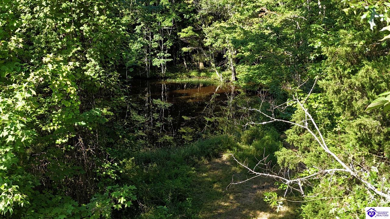 76 Ac Iron Mountain Road Property Photo 23