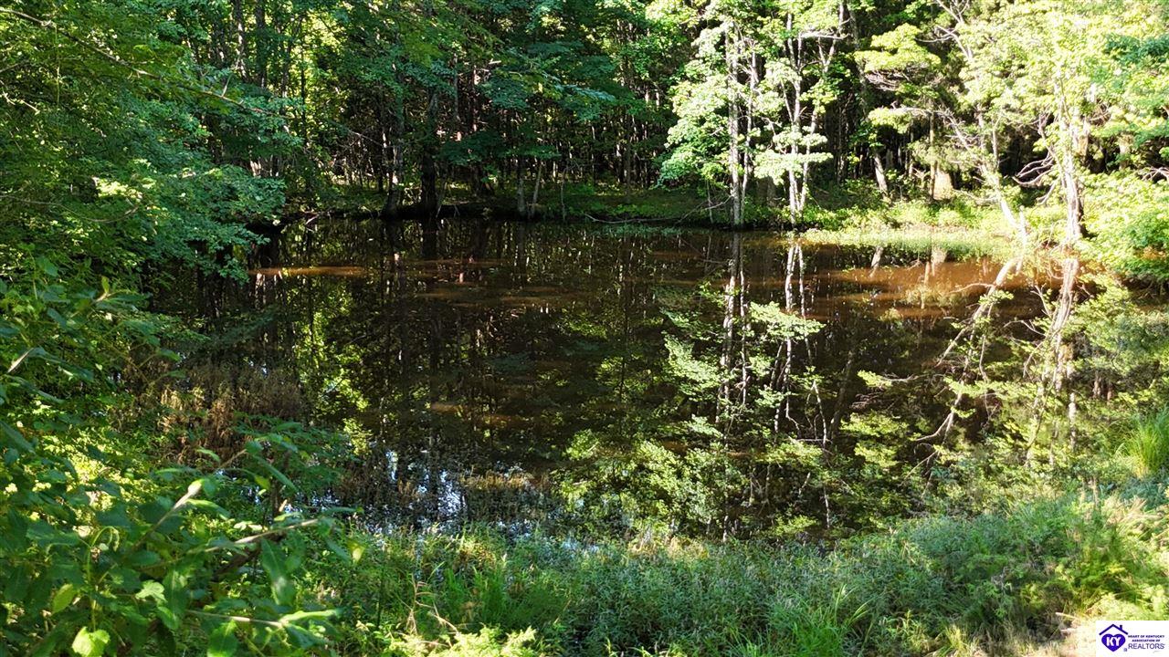 76 Ac Iron Mountain Road Property Photo 24