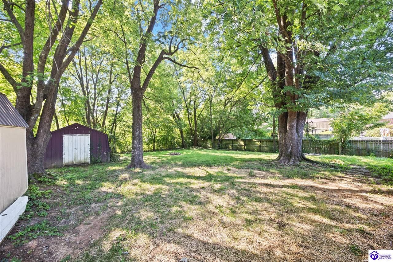 228 Hill Street Property Photo 22