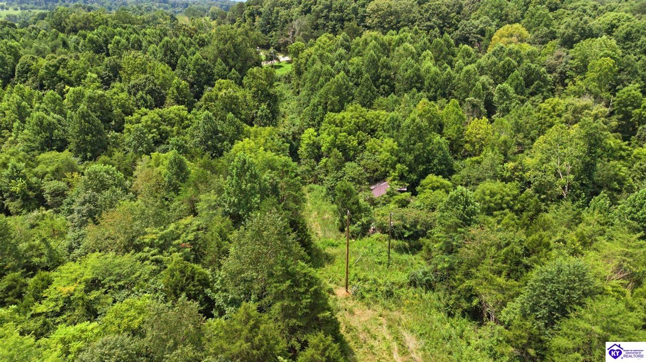 2540 Jim Clark Rd Property Photo 2