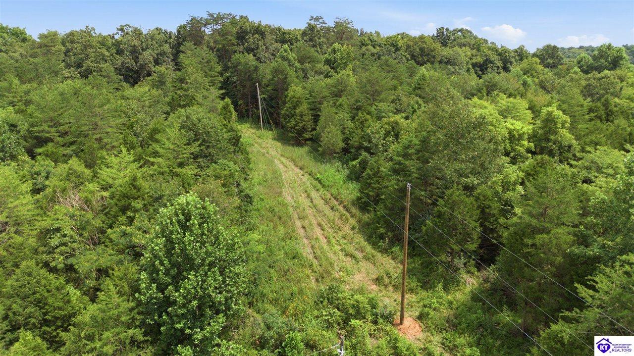 2540 Jim Clark Rd Property Photo 3