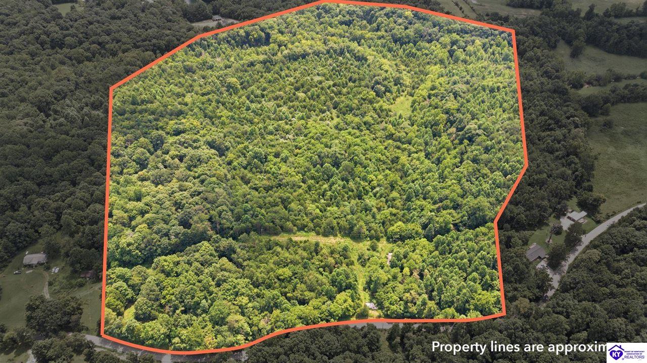 2540 Jim Clark Rd Property Photo 14
