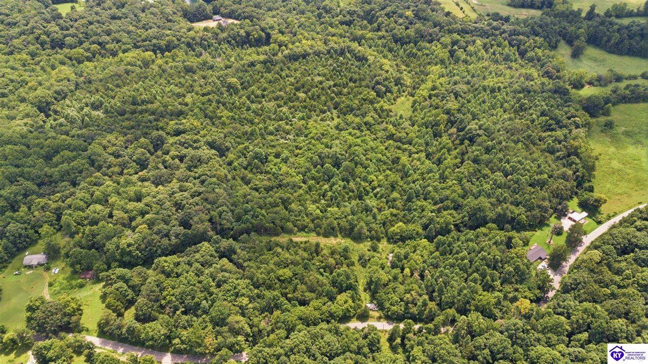 2540 Jim Clark Rd Property Photo 12