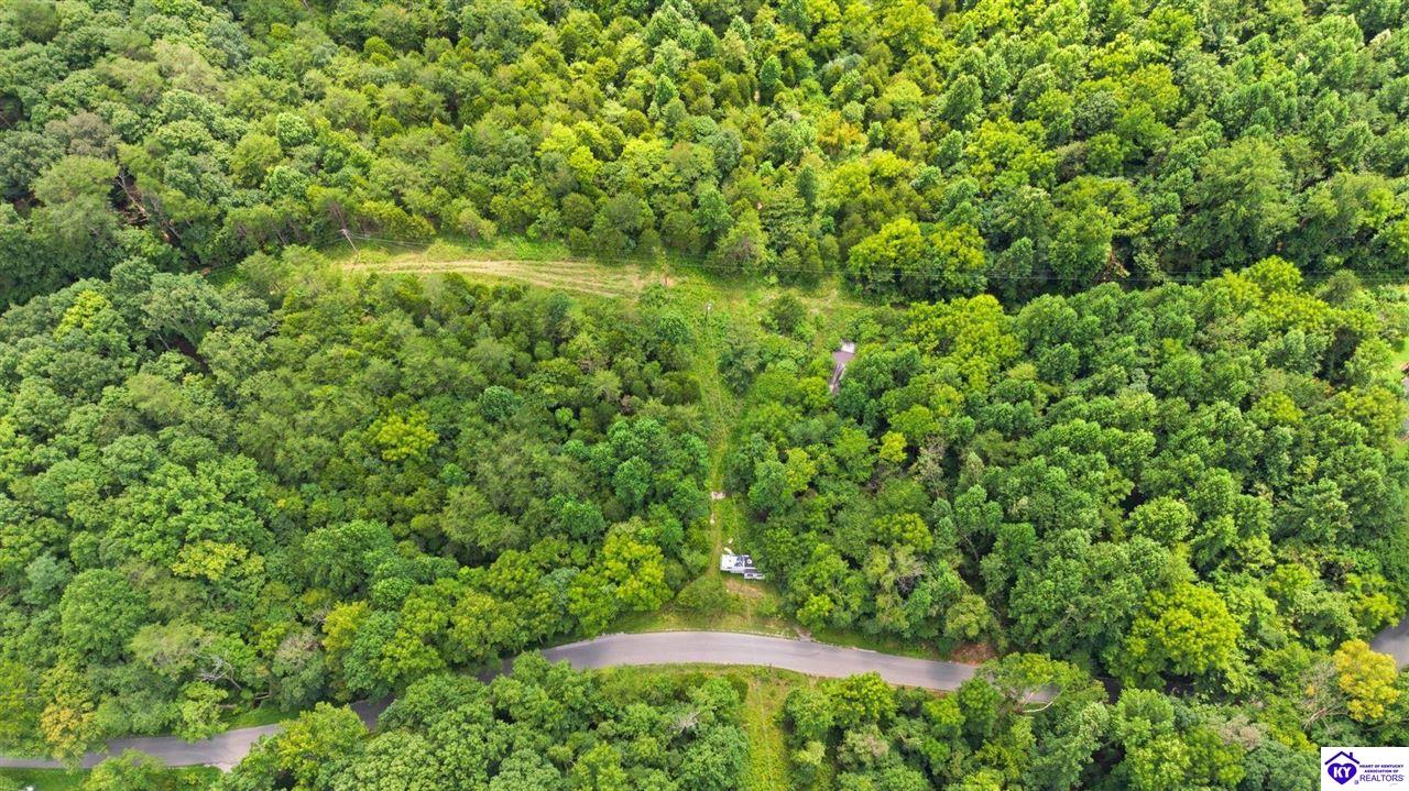 2540 Jim Clark Rd Property Photo 13